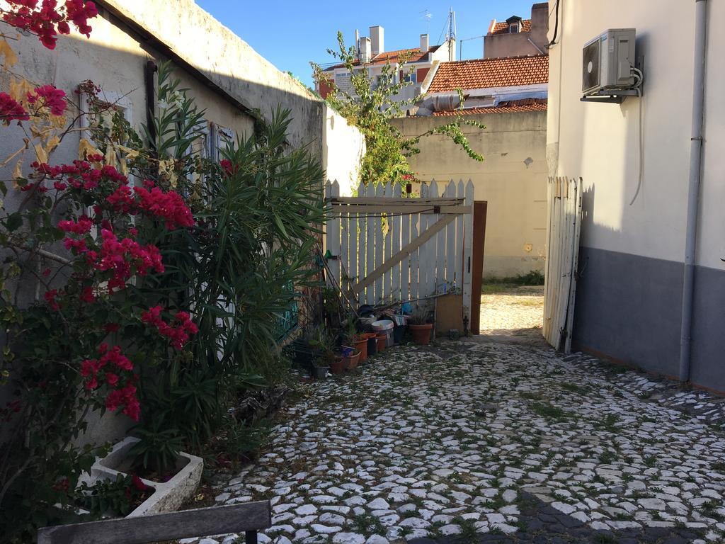 Apartmán The Back Yard Nest Lisboa Exteriér fotografie